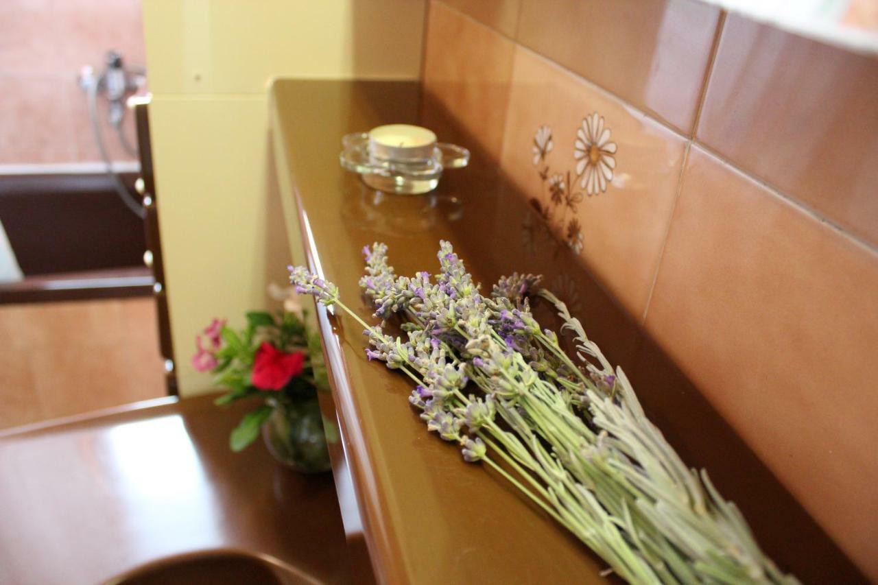 Roses Apartment Lukoran エクステリア 写真